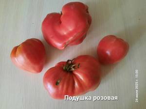 20250724_150010.jpg