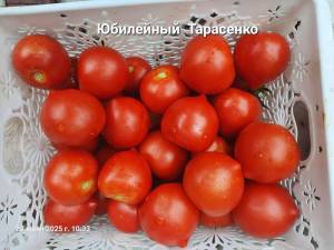 20250727_103324.jpg