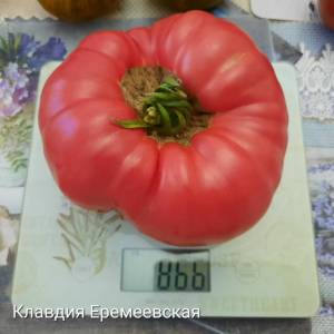 20250727_202405.jpg