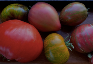 248209765_2025-07-1622_48_33.thumb.png.bccb3ab2b107a7d950eb72d56768f4bc.png