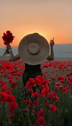 288729008_.thumb.gif.21df9c9ab6bfcd2e0f62225383e483f0.gif