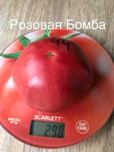 2F207C71-CDD3-4C86-B07B-8081612B6CCC.jpeg