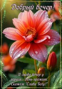 3dd7d844acc9698a361ef1b93dadb30a.jpg