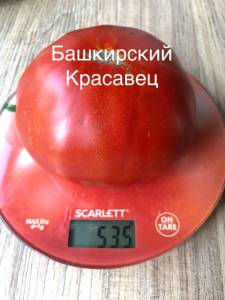 40F0F361-7896-4A73-8407-9FC4A8047BD5.jpeg