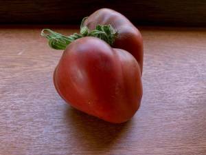 503800835_2.thumb.jpeg.653c24c4ffdbd4ed2c0e9a93af0770fa.jpeg