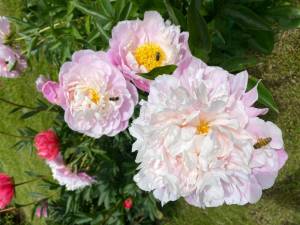 53404920-BF23-4C5D-BBC3-ED8FC4268301.jpeg