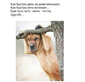5e0857548db05c60b6b32431f06bfa5d.thumb.jpg.9484cba1bf1fae3e266f1163b25da2fc.jpg