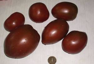 6.thumb.JPG.1ceba03b79fc8269e0c0dfa4142d58b9.JPG