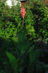 6.thumb.JPG.f1de6cd1de76ad60923490210e4dbd88.JPG