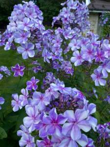 63268D8B-2F5A-4FEB-AA9D-BAEDDE0891DD.jpeg