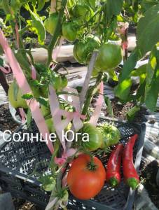 IMG_20250728_185501~2.jpg