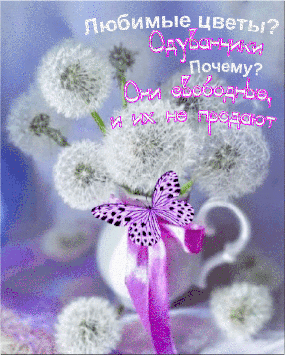 762dc1ae7c7b93bc5bf9dc35870c2279.gif