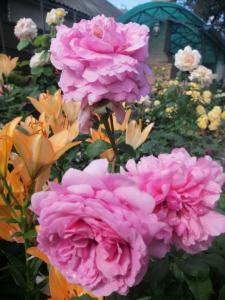 858a7c03-e066-40a5-bf16-3ef60054dbed.png