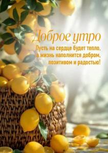 868062a8c7d01f79797af1a811a79fbe.jpg