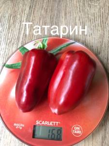 871A4F5E-85BE-4A12-B1E6-6AD61449DD53.jpeg