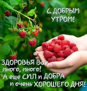 99abebf08a1aeaac7105a68b164a9f4f.jpg