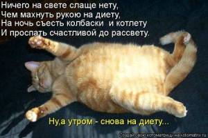 9b6d9b67008922012da8e205a93f3038.thumb.jpg.b59e947168ba1d7ee0db3b779ec8a2ce.jpg