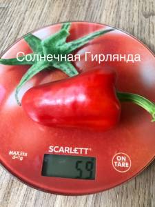 C31B77DE-505A-4932-825E-B5102A776FC3.jpeg
