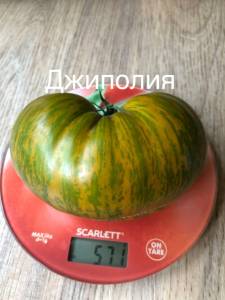 C69770DC-DEBD-4990-9248-9B303BB020D5.jpeg