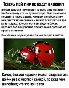 FOvS_3PTlIYTTefEIUJZjYgIYXYai5PVvoOTw-2hQXjMu084Jpz1yNNaGpJt80kRqoY7Pr1faHwjQ6FBrtDXkSyd.thumb.jpg.714fb7355d6b1e57873d10e956bbb24b.jpg