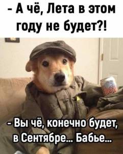 IMG-20250701-WA0004.jpg