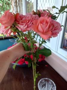 IMG-20250708-WA0000.thumb.jpg.a2d700703fb0a50258c23d9328d5f6b9.jpg