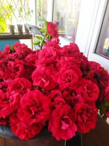 IMG-20250708-WA0002.thumb.jpg.99fcd7176a0a8e58733ef039c432c5b1.jpg