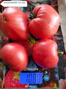 IMG-20250711-WA0047.thumb.jpg.4484bd10422a4d511ec79f18655b289b.jpg