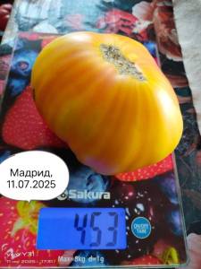 IMG-20250711-WA0048.thumb.jpg.e56be02249d9df8913e6e746eebac40b.jpg