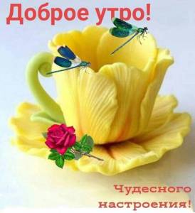 IMG-20250713-WA0011.jpg