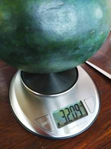 IMG-20250714-WA0009.thumb.jpg.1514f18e479bab66fdbd23a6bd0db734.jpg