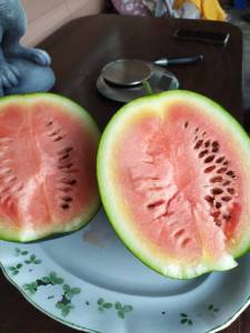 IMG-20250714-WA0010.thumb.jpg.b7bb0fc620b7a5e1b0186a19f468ee07.jpg