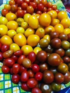 IMG-20250714-WA0011.thumb.jpg.70d26185c080e9c8534bc9d15b448a39.jpg