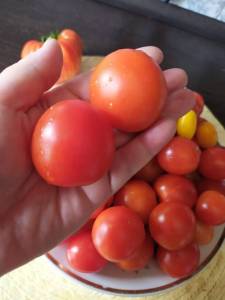 IMG-20250715-WA0000.thumb.jpg.250906c84d4412ab04b10a6ecb488271.jpg