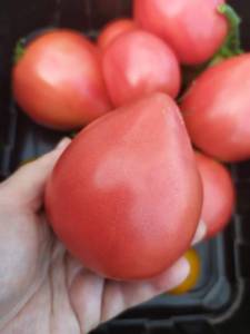 IMG-20250718-WA0008.thumb.jpg.484e466830a1a12a9f1c5c7ae516d6f7.jpg