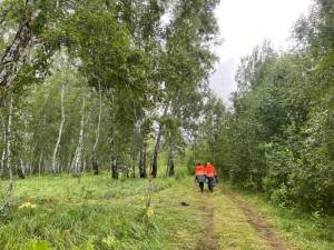 IMG-20250719-WA0057.jpg