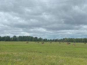 IMG-20250719-WA0059.jpg