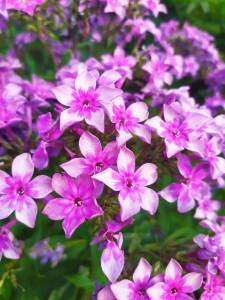 IMG-20250720-WA0038.thumb.jpg.2d9e2919f81330da663ef42d6bf7fa8c.jpg
