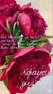 IMG-20250721-WA0001.jpg