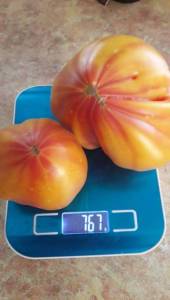 IMG-20250721-WA0150.jpeg