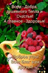 IMG-20250724-WA0002.jpg