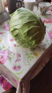 IMG-20250728-WA0018.jpeg