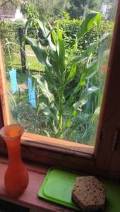 IMG-20250728-WA0021.jpeg