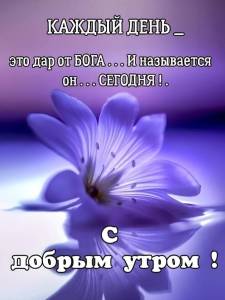 IMG-20250731-WA0003.jpg