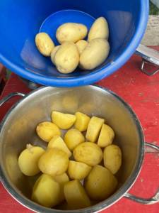 IMG_0100.jpeg