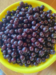 IMG_0390.jpeg