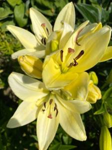 IMG_0396.jpeg