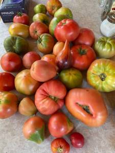IMG_0421.jpeg