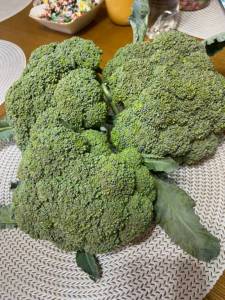 IMG_0442.jpeg