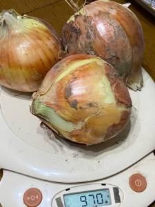 IMG_0493.jpeg